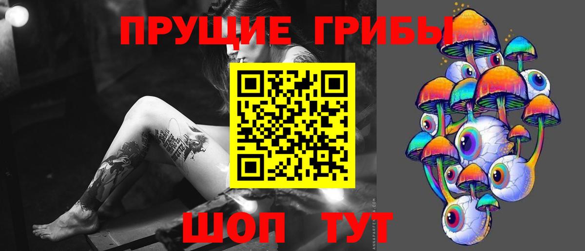 Кириши  Галлюциногенные грибы прущие грибы  хочу наркоту  Галлюциногенные грибы мицелий  Вход с VPN 